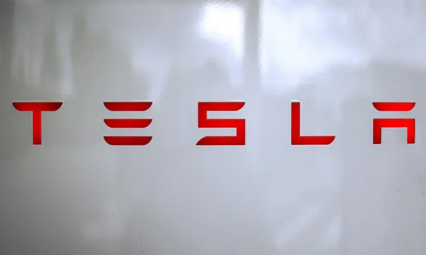 Tesla to ask shareholders whether to invest in xAI, says Musk