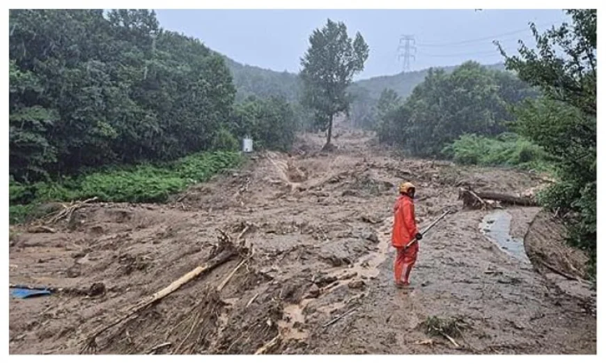 Five Dead, Two Missing After Heavy Rain in South Korea