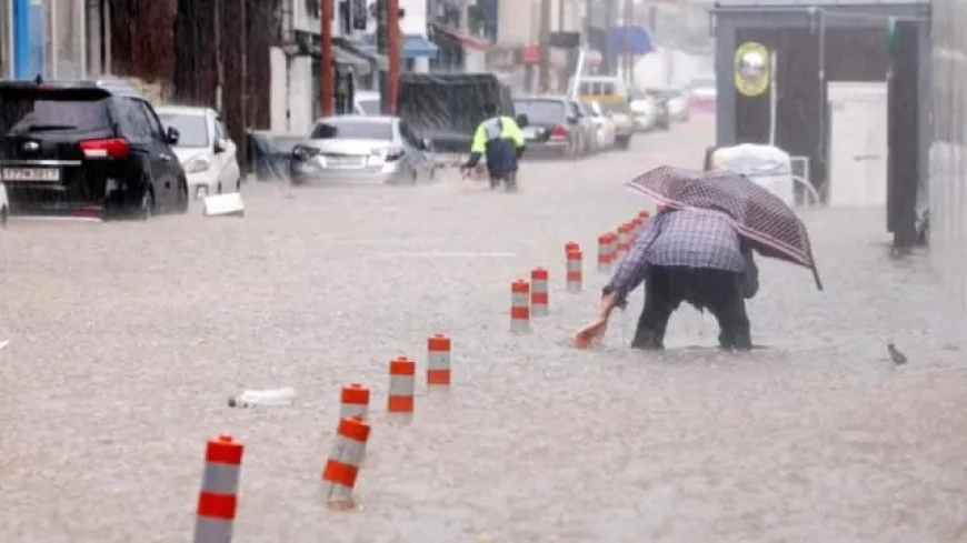 South Korea Floods: Death Toll Climbs to 11