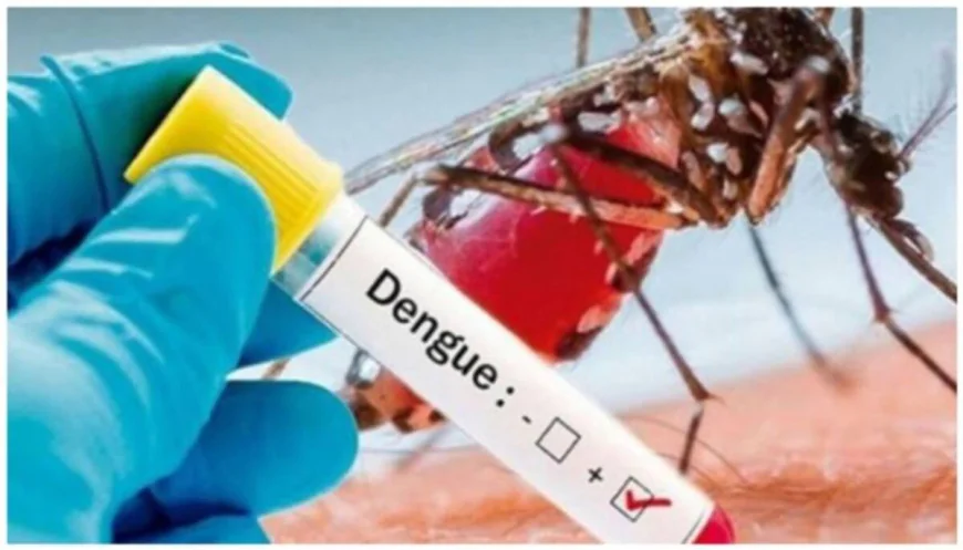 Health Officials Report 364 Fresh Cases of Dengue Infection Overnight