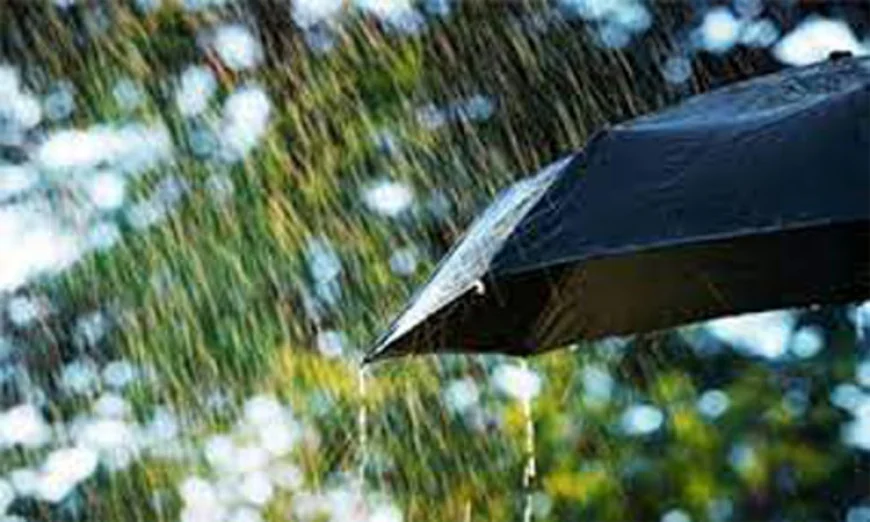 Rain Likely in Forecast