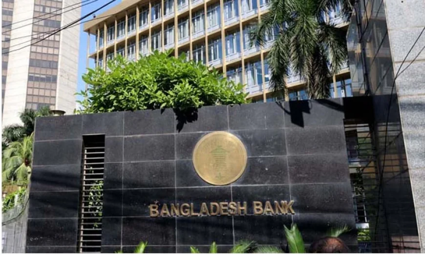 Remittance Inflows Surge 23.97% in First 26 Days of July