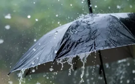 Rain likely across country