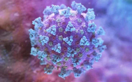 One COVID-19 Death Reported in 24 Hours