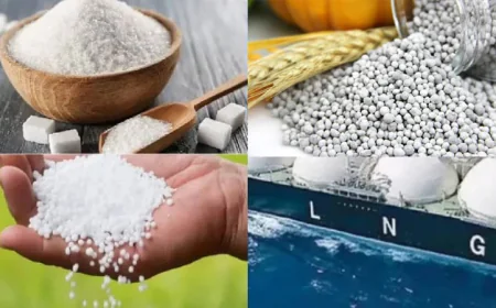Govt to Procure 1 LNG Cargo, 70,000 MT Fertilizer, 25,000 MT Sugar
