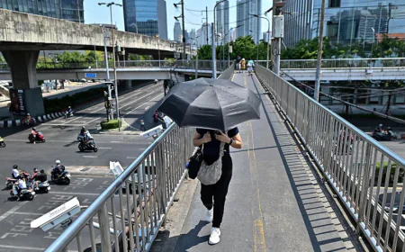 Record-Breaking Heat in July Fuels Climate Disasters