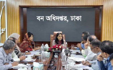 Govt Unveils Comprehensive Plan to Boost Forest Coverage to 20%: Rizwana