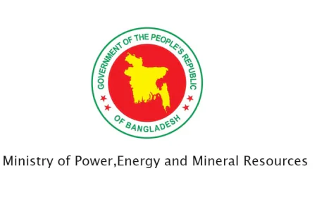 Government Puts Stable Electricity Supply at Forefront: Adviser