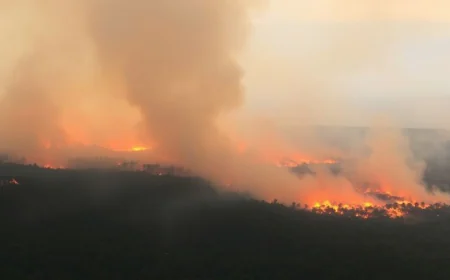 Wildfires Sweep Albania as Heatwave Grips Balkans