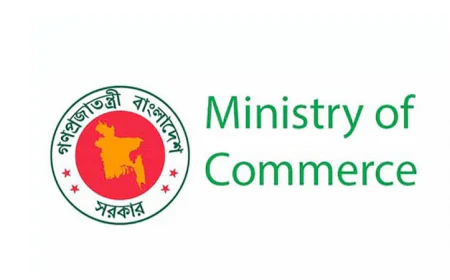 Administrator Appointed to FEBOAB