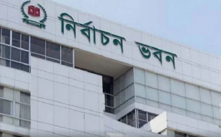 331 Local Groups Apply to Monitor Upcoming National Elections