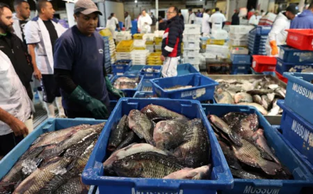 Trump’s Tariffs Hit Brazil’s Fishing Industry Hard