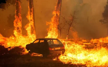Portugal Wildfires Claim First Fatality; Spain on High Alert Amid Heat