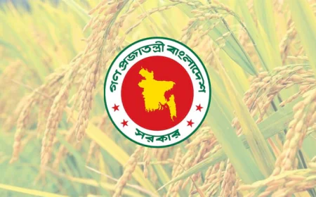 Government Achieves Record-High Boro Rice Collection