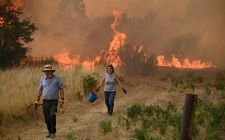 Spanish PM Pledges Climate Pact During Visit to Wildfire-Affected Region