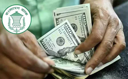 Remittance Inflow Jumps 25.6% in First 17 Days of August