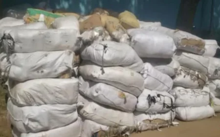 6,000 kg of Banned Polythene Confiscated in Bogura