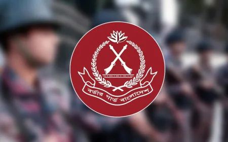 BGB Seizes 2 Lakh Cubic Feet of Illegally Stockpiled Stones in Sylhet