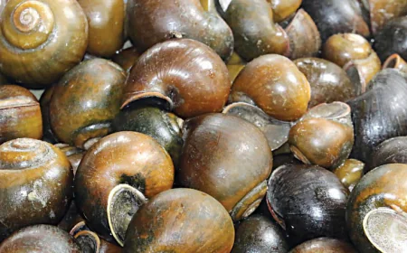 River Bounty: How Ethnic Minority Communities Sustain Their Way of Life