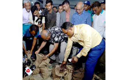 Government to Buy Potatoes to Aid Farmers: Agriculture Adviser