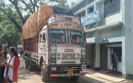 Hili Port sees trade rebound as exports and earnings rise