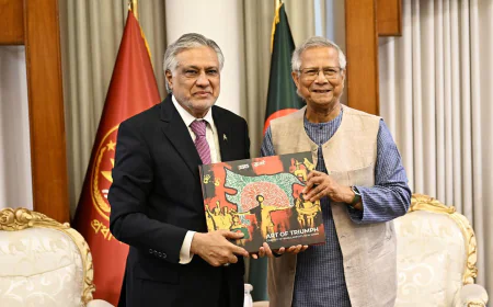 CA highlights SAARC revival during meeting with Pakistan deputy PM