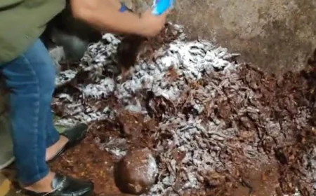 Two pickle factories penalized for unhygienic practices in Ctg