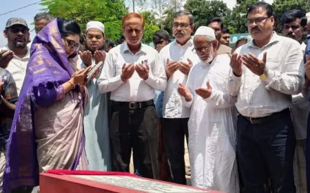 Safe water project launched in Manikganj
