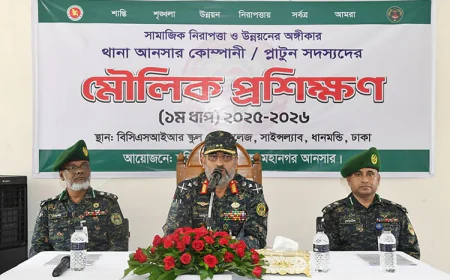 Upazila, thana-level Ansar companies to be reorganized: DG