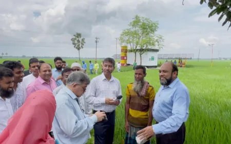 Agriculture Secretary: No Fertilizer Crisis in Bangladesh