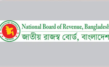 NBR Reviews July 2025 Revenue Collection Performance