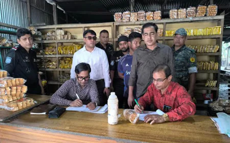Four Unauthorized Food Companies Fined Tk 5 Lakh in Kishoreganj