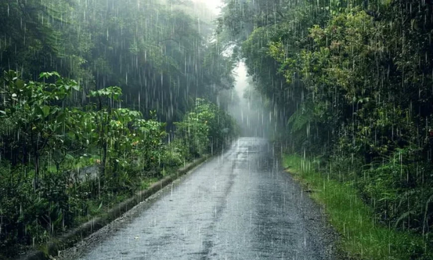 Rain likely across country