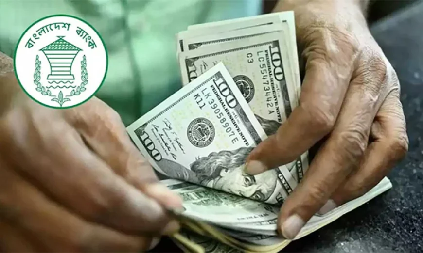 Remittance Inflow Surges 81.6% in First Five Days of August