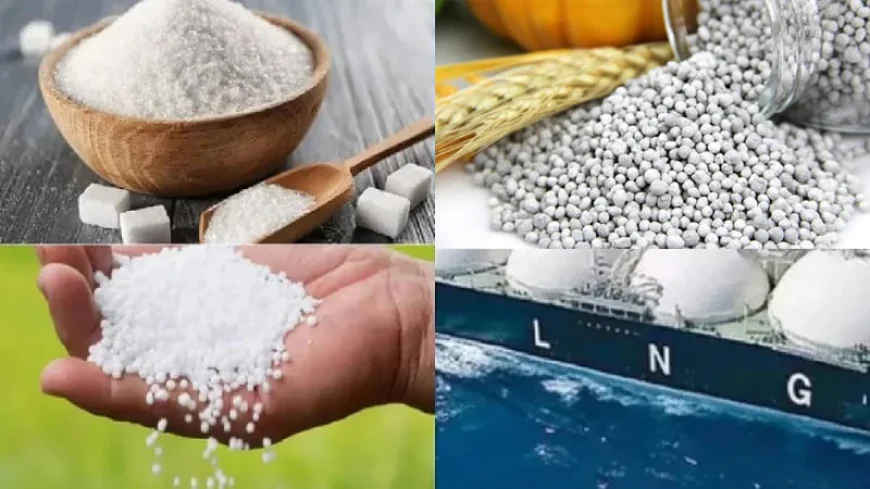Govt to Procure 1 LNG Cargo, 70,000 MT Fertilizer, 25,000 MT Sugar