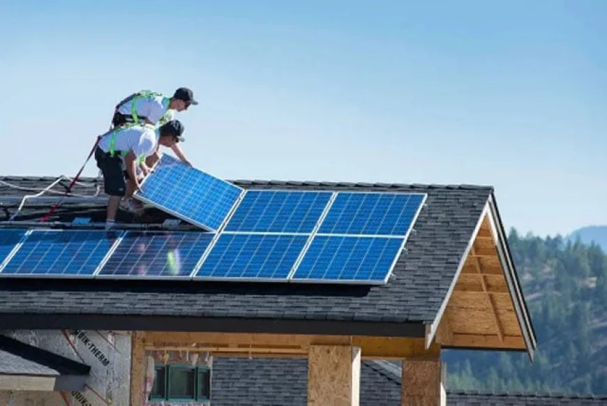 Trump Targets $7 Billion in Solar Panel Grants for Elimination
