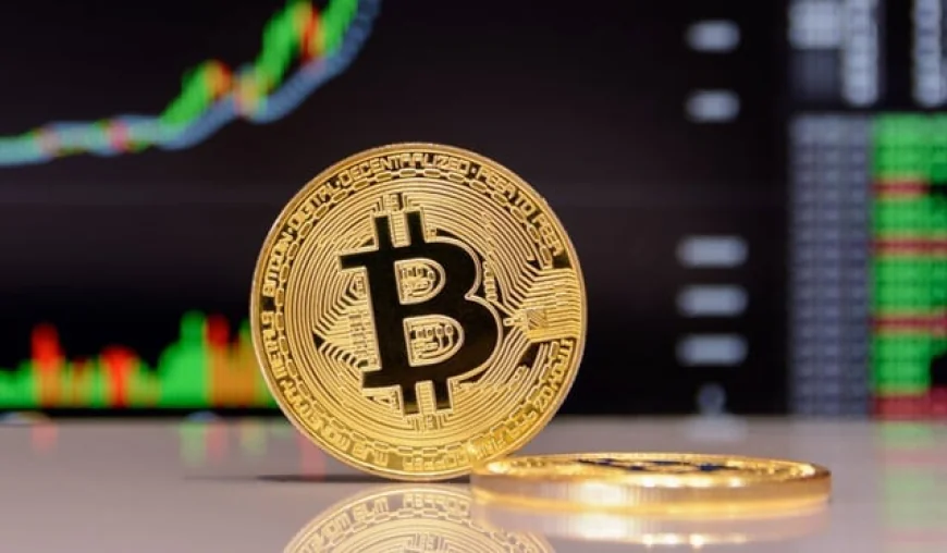 Companies Bet on Bitcoin: Strategic Move or Risky Rush?