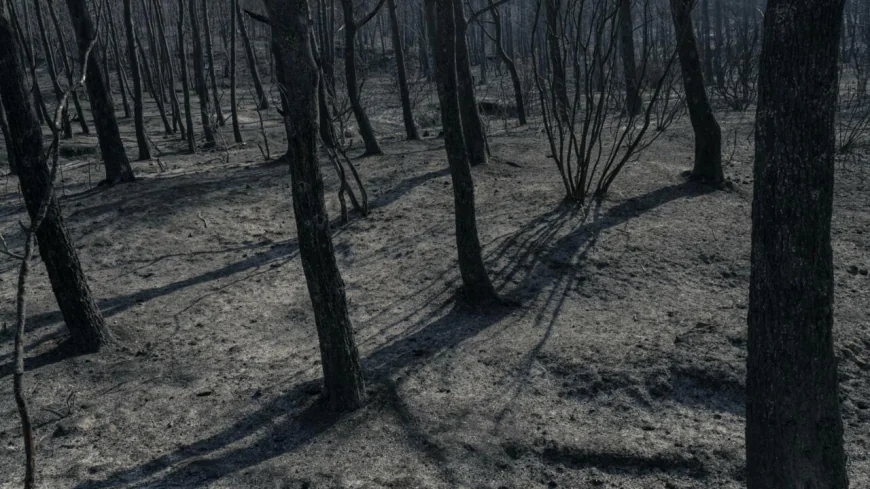 Massive Fire in France Contained by Firefighters