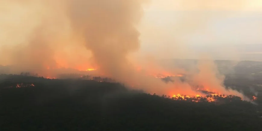 Wildfires Sweep Albania as Heatwave Grips Balkans