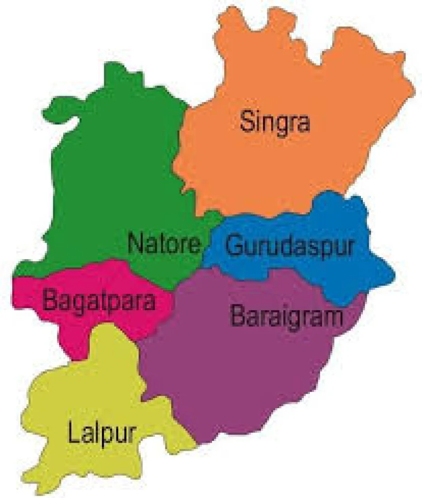 Loan Cheques Distributed in Natore to Mark Youth Day