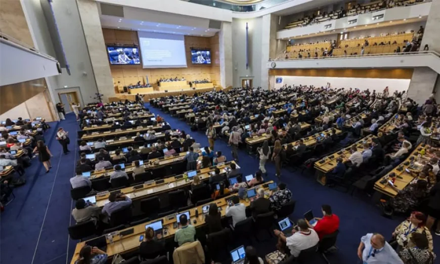 Plastic Pollution Treaty Talks Conclude Without Agreement