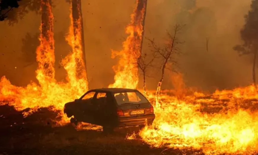 Portugal Wildfires Claim First Fatality; Spain on High Alert Amid Heat