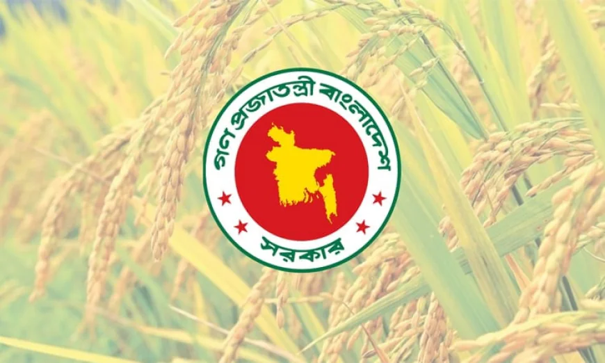 Government Achieves Record-High Boro Rice Collection