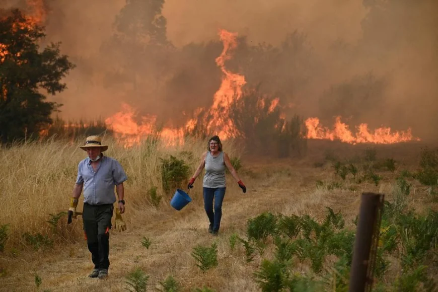 Spanish PM Pledges Climate Pact During Visit to Wildfire-Affected Region