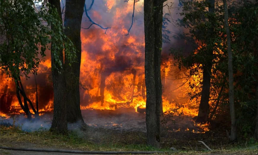 Wildfires Burn Additional 30,000 Hectares Across Spain