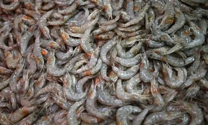 Walmart Shrimp Recalled After Radioactive Substance Detected, Says FDA