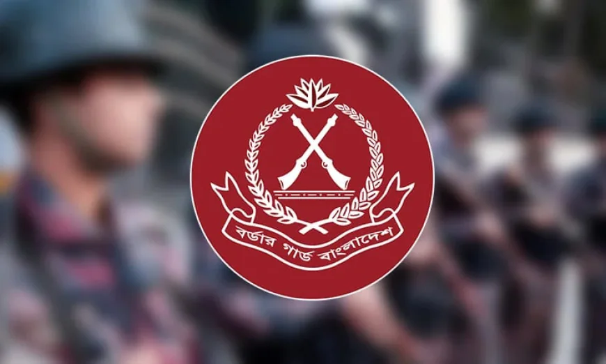 BGB Seizes 2 Lakh Cubic Feet of Illegally Stockpiled Stones in Sylhet