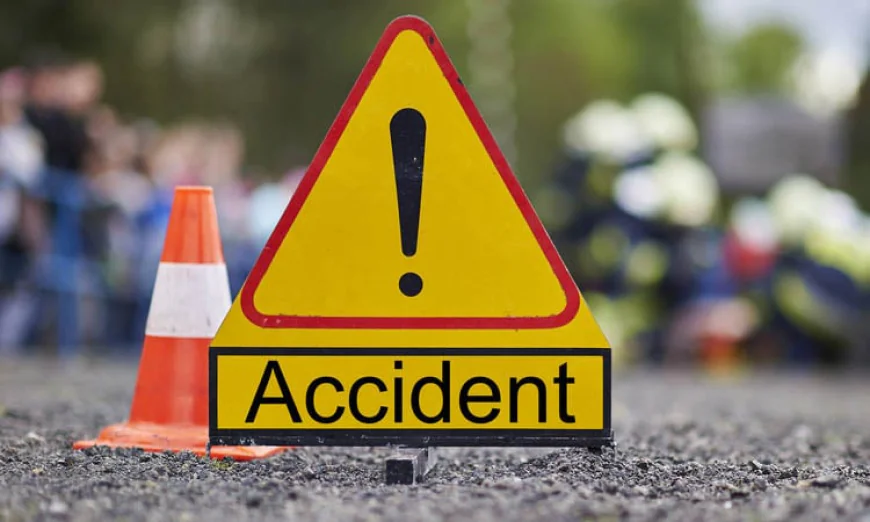 Van Driver Dies in Manikganj Road Collision
