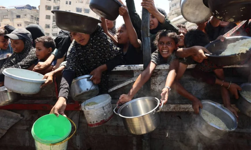 Far too late Palestinians despair as UN declares famine in Gaza