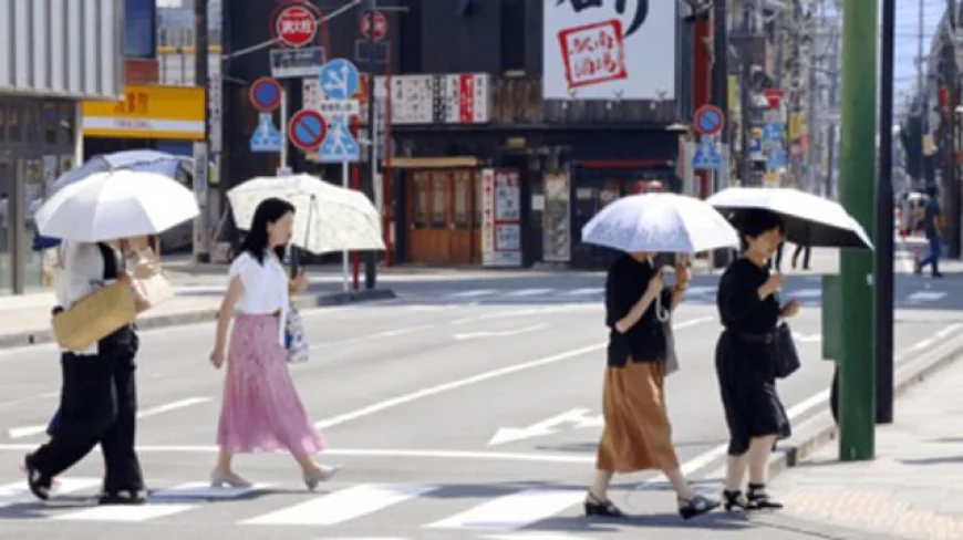 Tokyo records 10 straight days of 35°C heat: weather agency